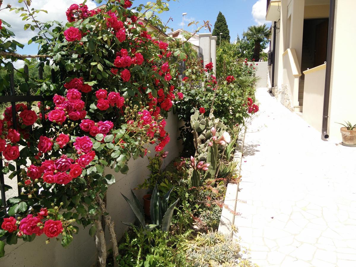 B&B Green Da Maria มาเตรา ภายนอก รูปภาพ
